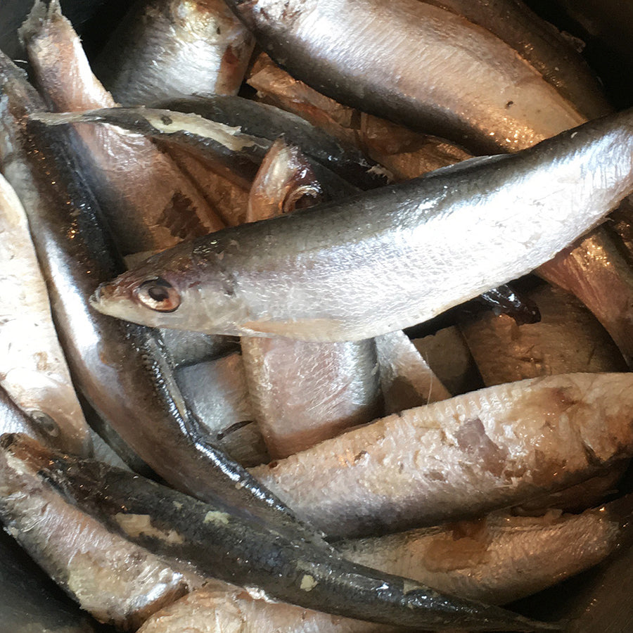 Nutriment Fresh Whole Sprats 1kg